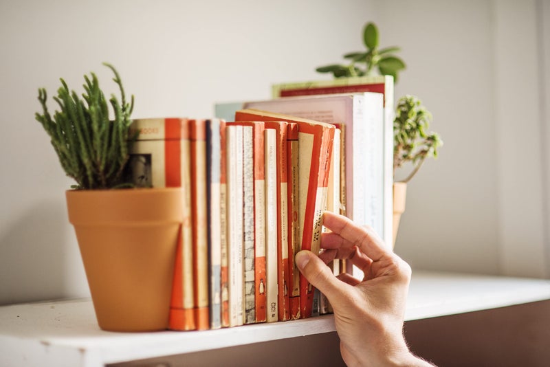 Suck UK Bookends - Plant Pot Book Ends - Flower Pot Book Ends for Shelves Quirky - Decorative Kitchen Bookends - Novelty Plant Pot Holder - Office Shelf Accessories - Funny Indoor Plants - Set of 2 - Image 4